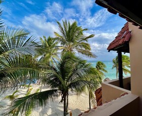 Hammock Heaven