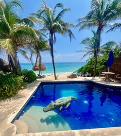 Hammock Heaven