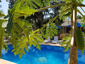 Maya Eco Village