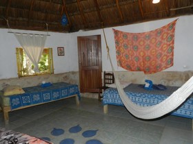 Organic Yoga Mexico