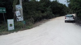 Organic Yoga Mexico