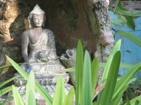 Organic Yoga Mexico