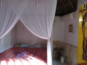 Organic Yoga Mexico