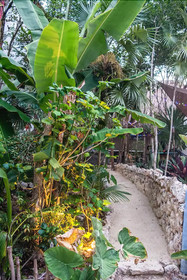 Villa Duendes Akumal