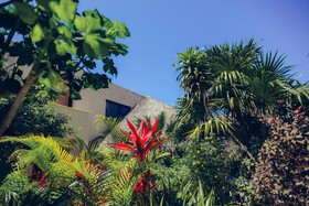 Villas de Rosa