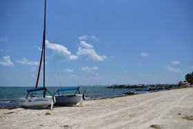 Bahari