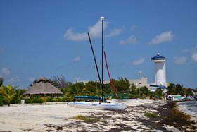 Bahari