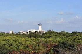 Bahari