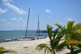 Bahari