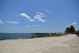 Bahari