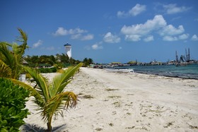 Bahari