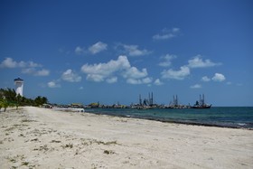 Bahari