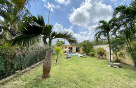 Cancun Soho B&B
