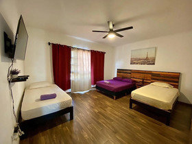 Cancun Soho B&B