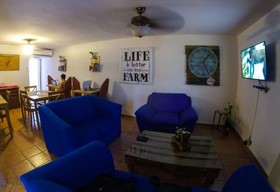 Casa Caracol Hostel