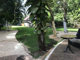 Casa La Selva