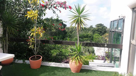 Casa La Selva