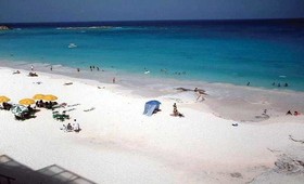 Salvia Cancún
