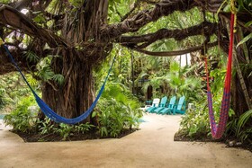 Eco-hotel El Rey del Caribe