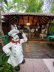 Eco-hotel El Rey del Caribe