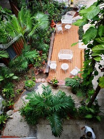 Eco-hotel El Rey del Caribe