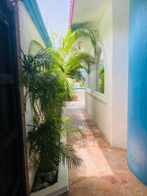 Hostel Quetzal