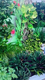 Hostel Quetzal