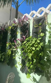 Hostel Quetzal