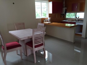 Hostel Whyz 4 You