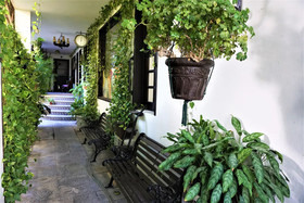 Hotel Boutique Suites Puerto Cancun
