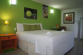 Hotel Green 16