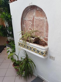 Hotel Suites Le Monde
