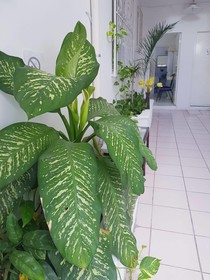Hotel Suites Le Monde