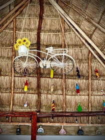 Hotel Tequila Cancun