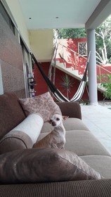 La Casa de Cris y Jose