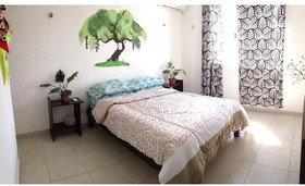 La Casa Del Arbol
