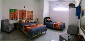 La Casa Del Arbol