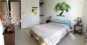 La Casa Del Arbol