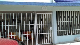 La Casa Del Arbol