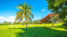 Las Gaviotas Hotel & Suites