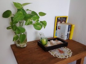 Los Caracoles Bed & Breakfast
