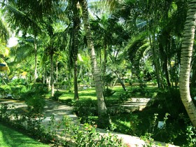 Hotel Faranda Maya Caribe Cancún