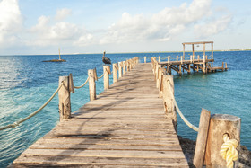 NIZUC Resort & Spa