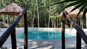 Pura Vida Cancun