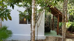 Pura Vida Cancun