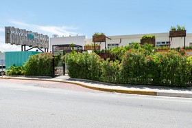 Mayan Monkey Hostel & Bar