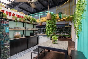 Mayan Monkey Hostel & Bar