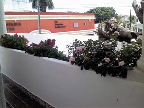 Suites Rosas