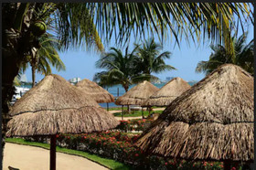 Sunset Marina Resort & Yacht Club