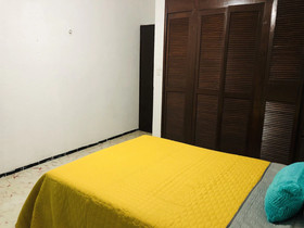 The Gringo's House